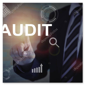 Team-Review und Auditsitzung